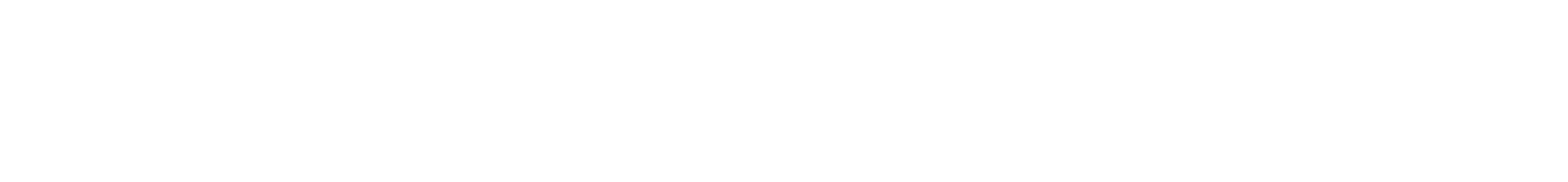 RaceControl